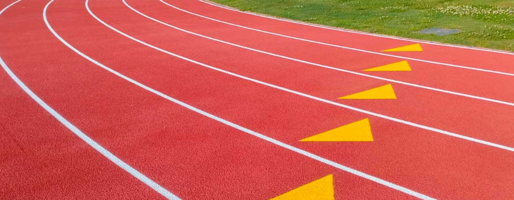 Pasto sintético turfdepot